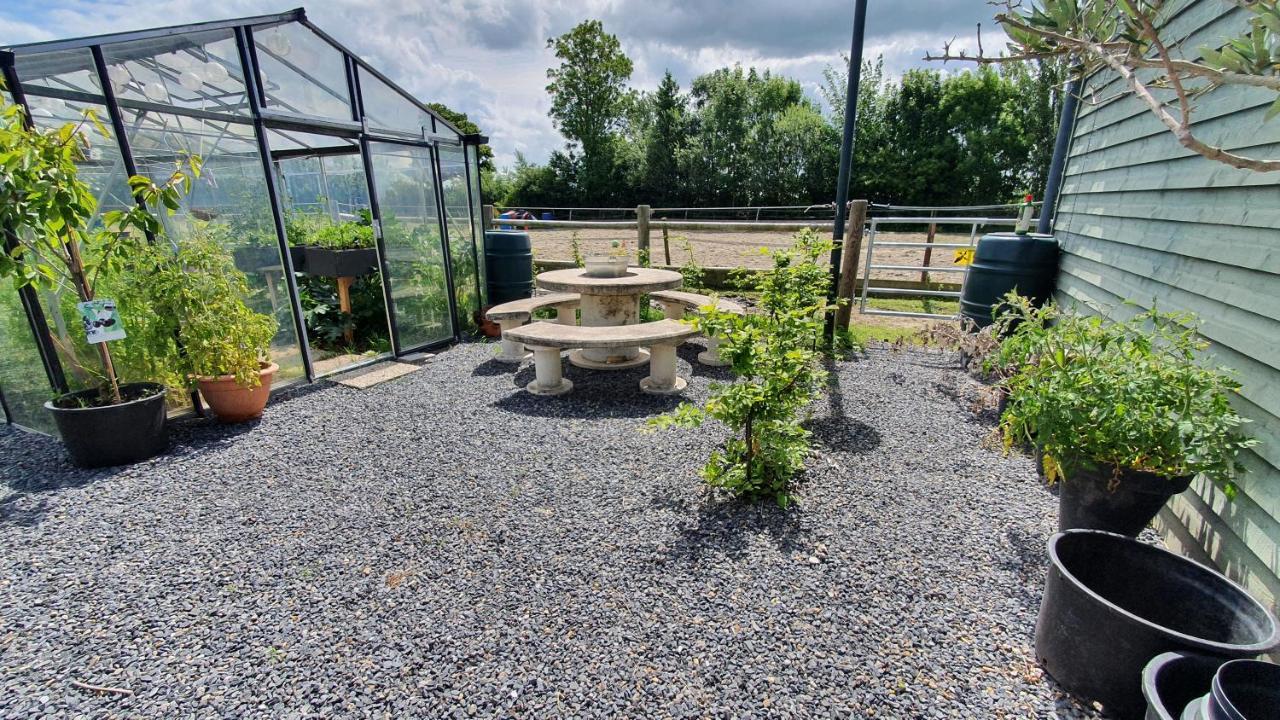 De Stjelp Bed & Breakfast Dongjum Екстериор снимка